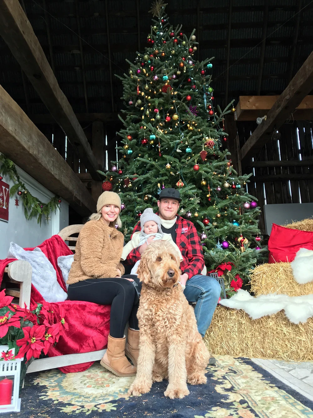 ANDARA Gallery's 5th Annual "Holiday Photo in the Barn"! Reservations: (613) 393-1572. All Welcome. Bring charged phone. We use to take photo of you/group in festive seating area in the barn in exchange for donation to PEC Hospital's Back the Build campaign. $10+ p.p. Donation receipts available.