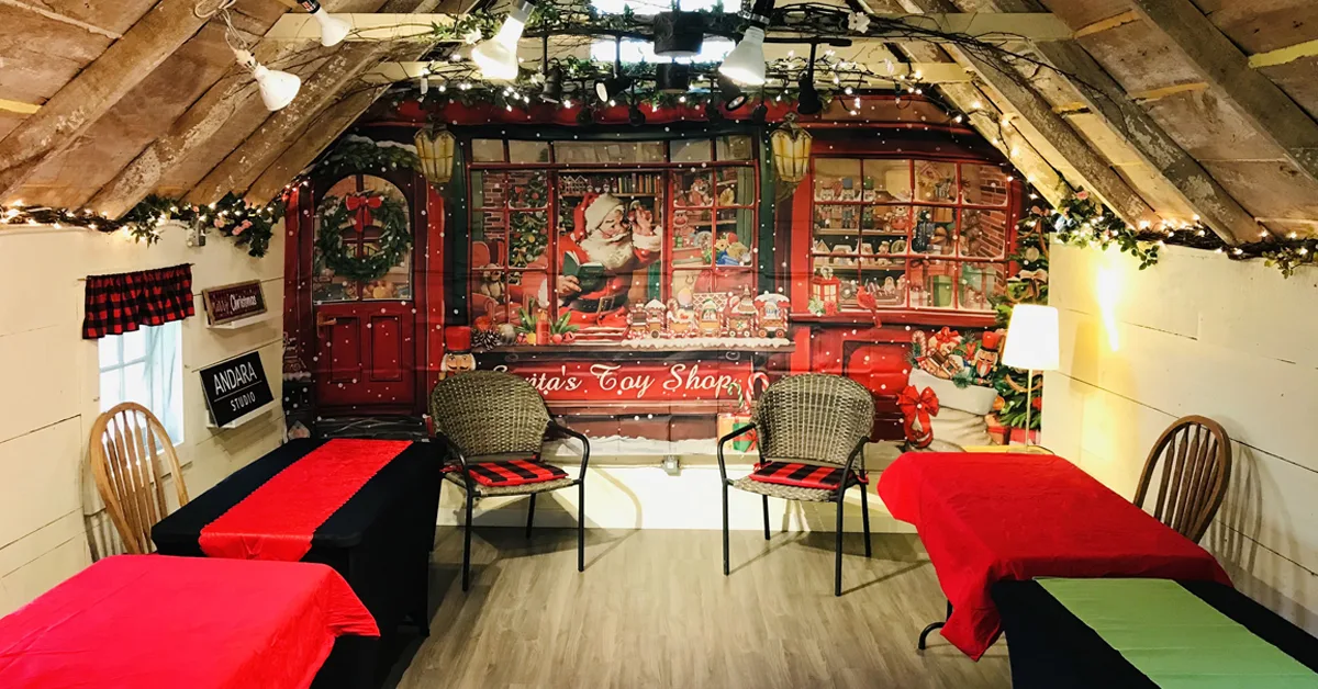 ANDARA Gallery's 5th Annual HOLIDAY PHOTO IN THE BARN - Nov 16 to Dec 8, Noon to 4 PM, By reservation only: (613) 393-1572. Also visit our Gingerbread Shoppe on site for local fine artisan handworks. Photo credit © Tara Wilkinson, ANDARA Gallery