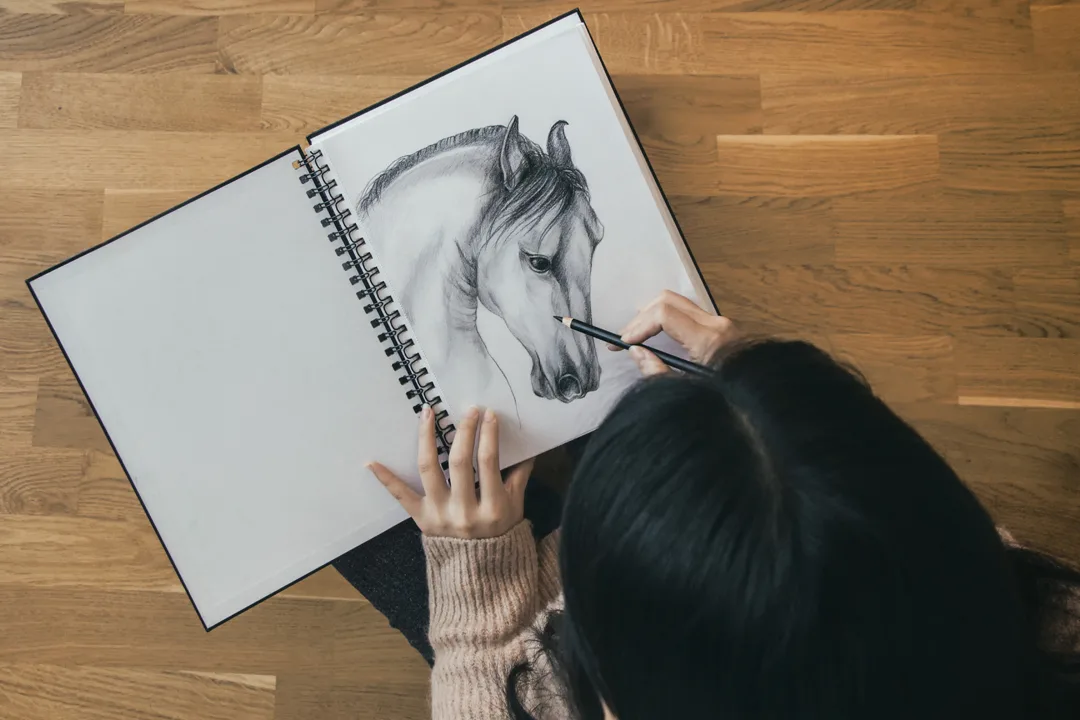 Learn to draw at ANDARA Studio at ANDARA Gallery with instructor, Andrew Csafordi!