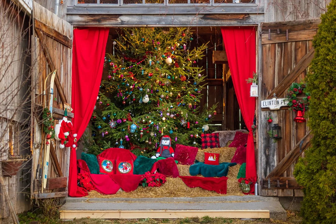 ANDARA Gallery's 5th Annual HOLIDAY PHOTO IN THE BARN - SAT & SUN, NOV 16 TO DEC 8, NOON TO 4 PM - BY RESERVATION ONLY - Call (613) 393-1572. Photo credit © Daniel Vaughan, @vaughan_group