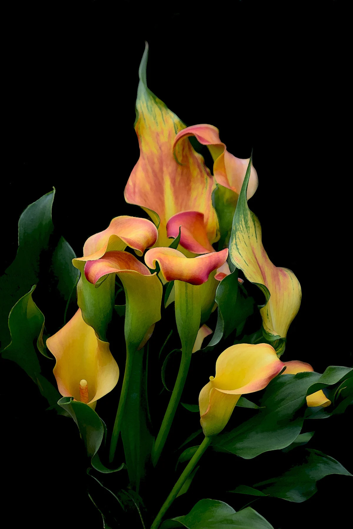 ANDARA Gallery presents “BOTANICA” exhibition and sale of contemporary fine art paintings, photographs and digital art celebrating the garden by Canadian artists Tara Wilkinson and Andrew Csafordi. Photo Credit: “FIRE DANCER” © Tara Wilkinson.