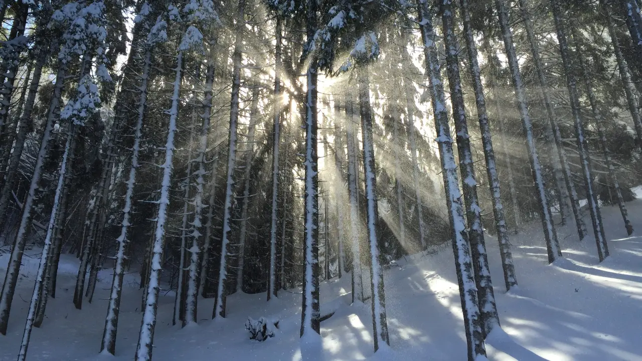 winter preparation