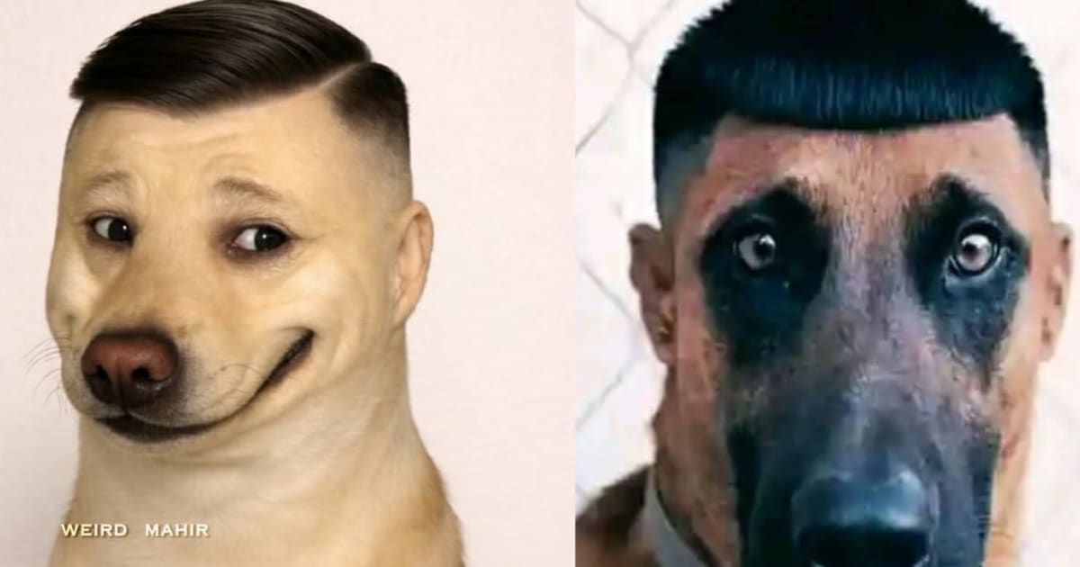 Faaaaaaaaa