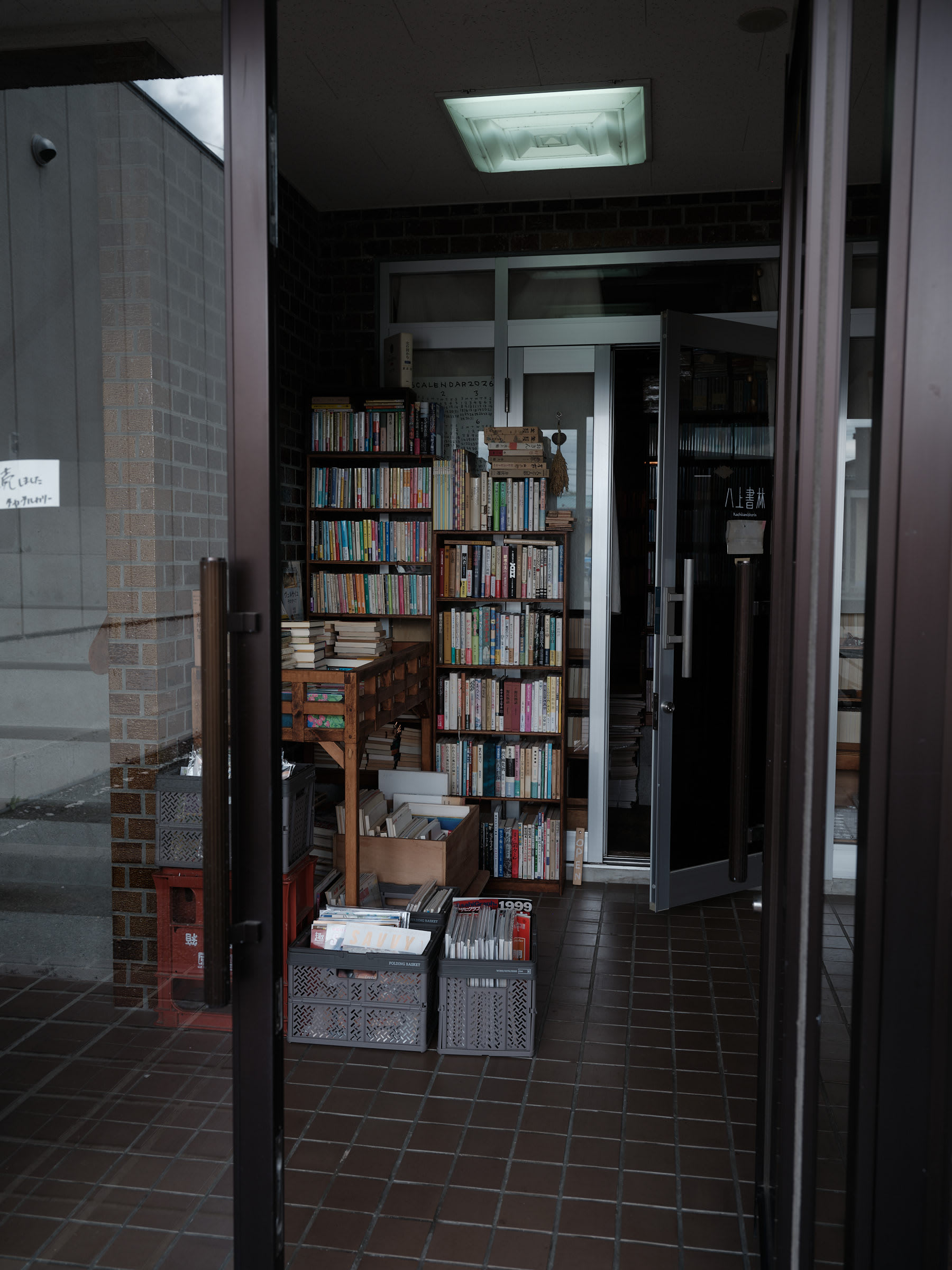 Relocating to Osaka With Pets: What the Process Actually Involves