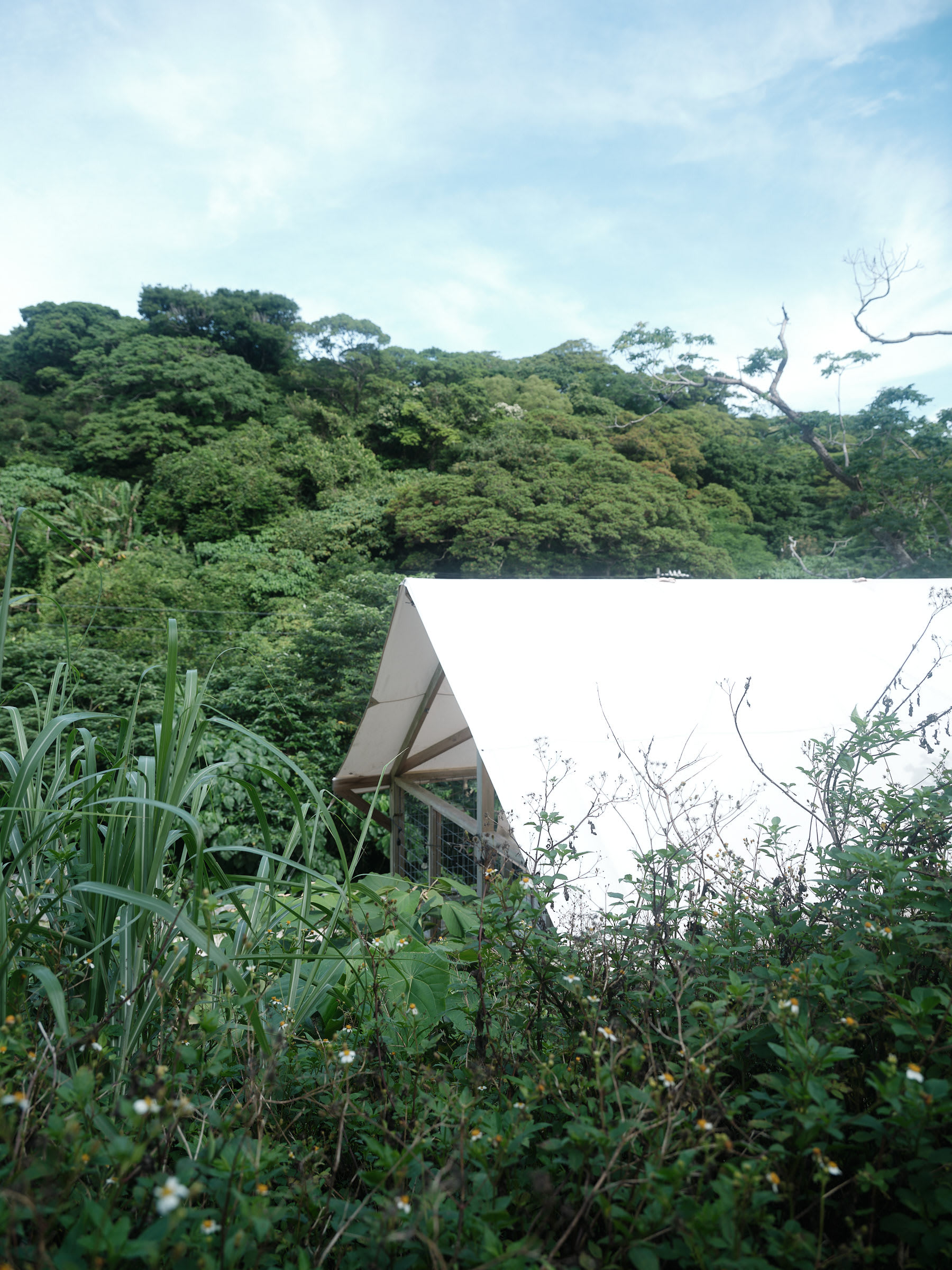 Renting in Kawaramachi, Kyoto
