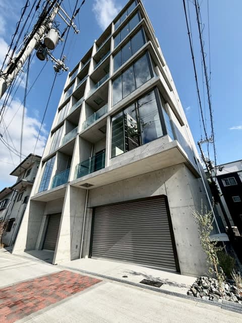 ALFA — A Designer Residence Blending Urban Sophistication and Comfort 1