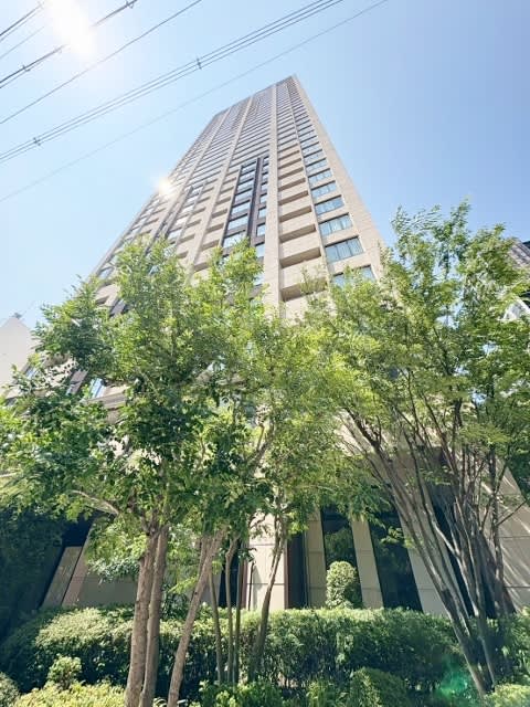 Alugrad The Tower Shinsaibashi — Lowest-Priced Tower Residence 3