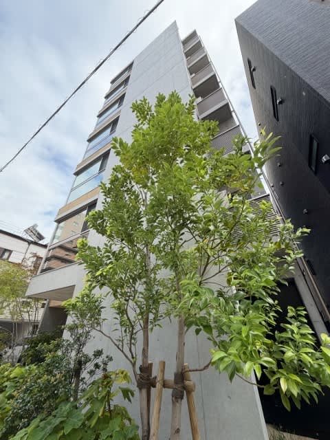 Ausleben Miyakojima I — A Bold Take on Life Without a Balcony 3