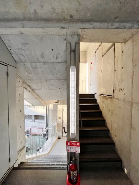 Zeku DOSHIN — White Tile & Concrete Design 5