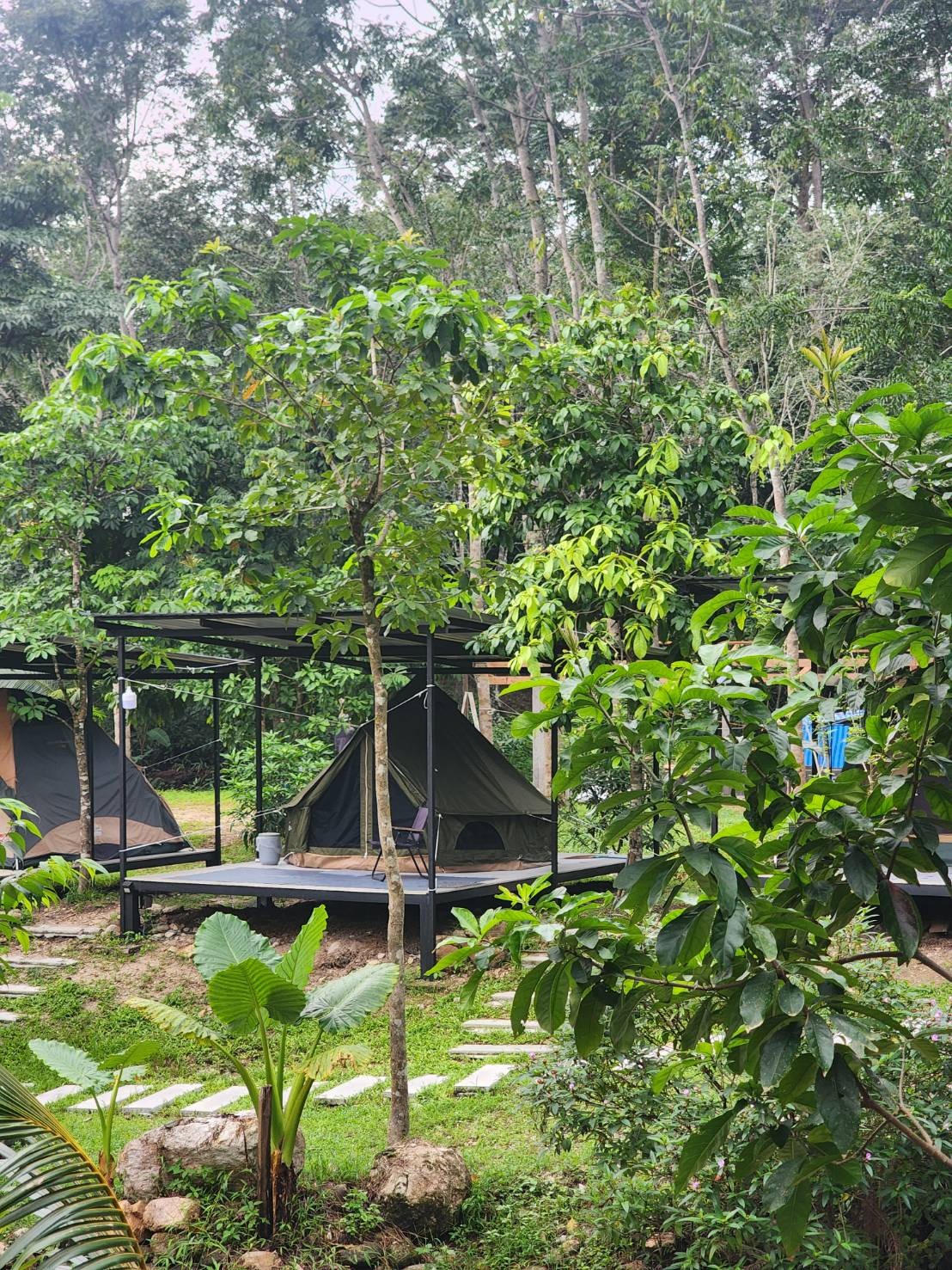 เต็นท์กระโจมสีเขียวไร้เสากลาง bell tent wiman - เสียงตอบรับจากลูกค้าผู้ใช้งานจริง ที่ไว้วางใจวิมานแอร์