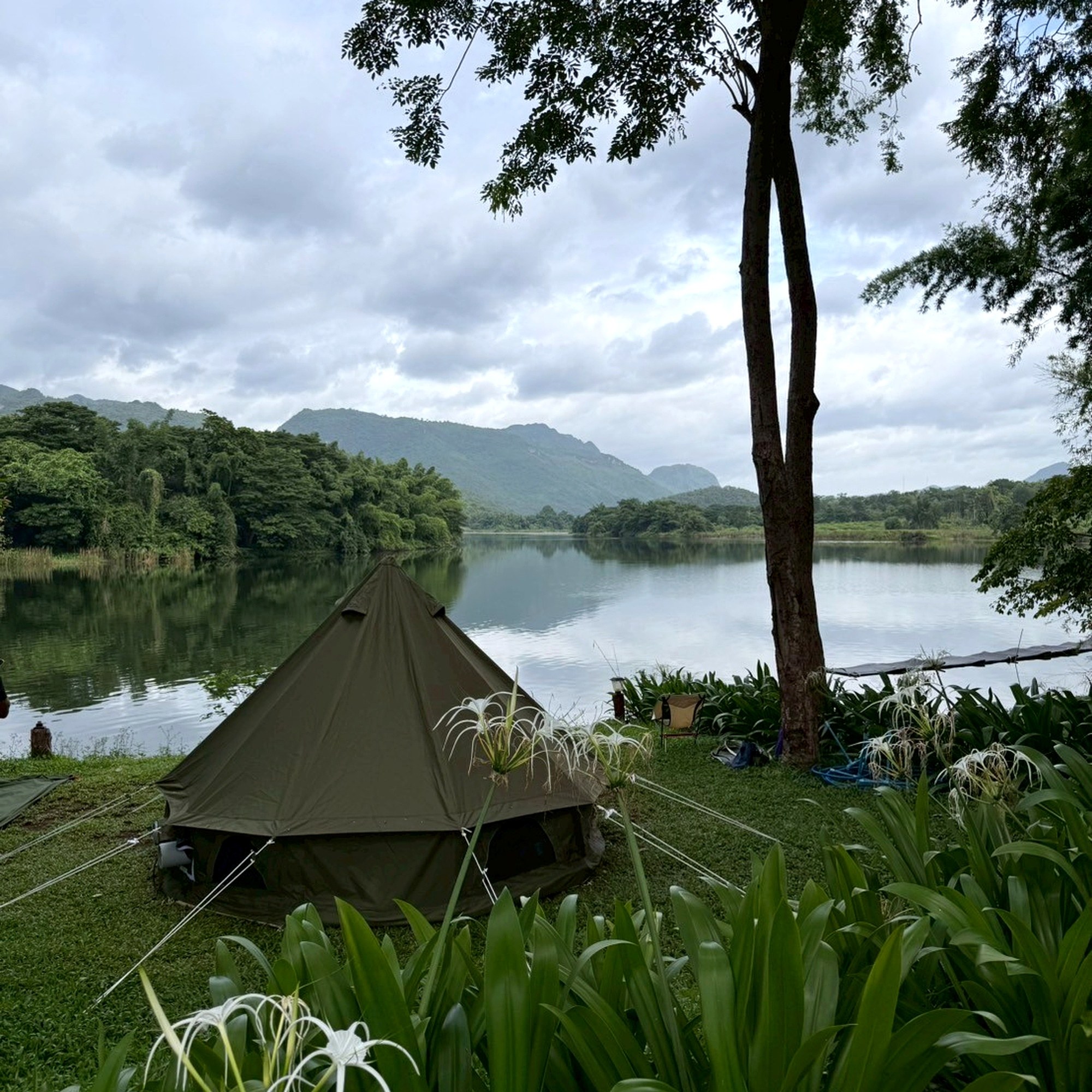 เต็นท์กระโจมสีเขียวไร้เสากลาง bell tent wiman - จัดวางใต้ศาลามุงจาก ให้ความรู้สึกเป็นธรรมชาติและร่มรื่น
