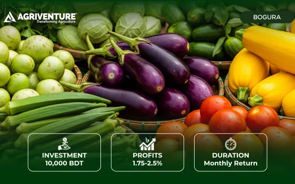 Daily Vegetables Trading
