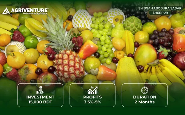 Seasonal Fruit Trading