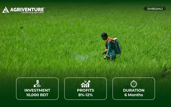 Pesticides Supply
