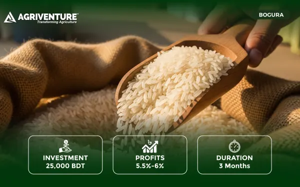 Rice Trading Project