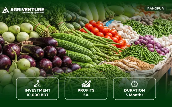 Mixed Vegetables Trading