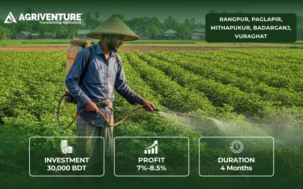 Potato Input and Output Trade
