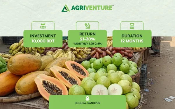 Mixed Fruit Trading