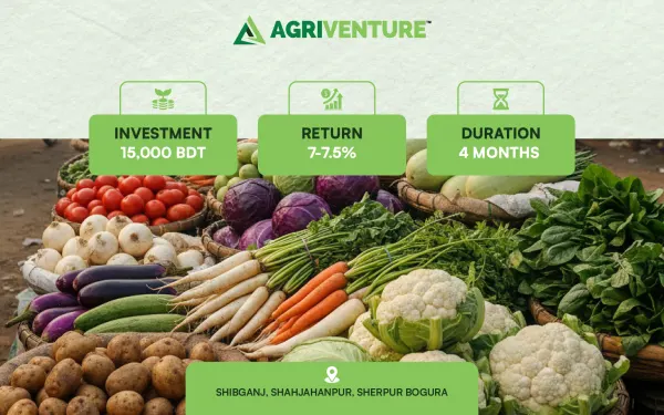 Mixed Vegetable Trading