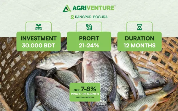 Combined Fish Farming