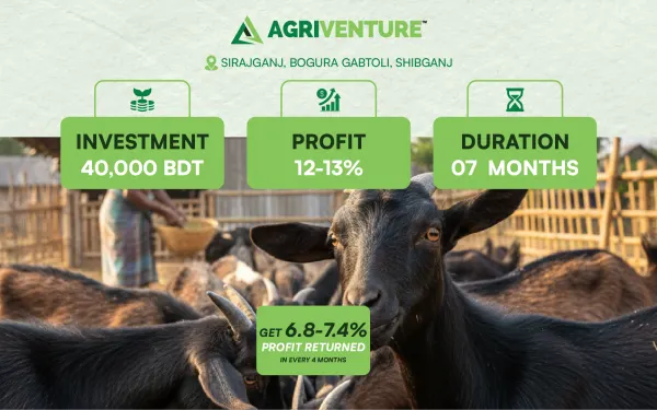 Goat Farming