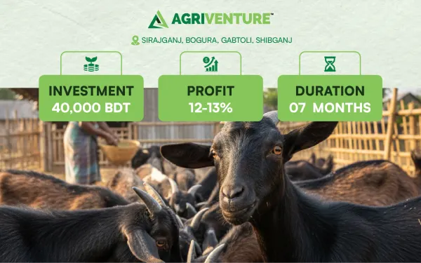Goat Farming
