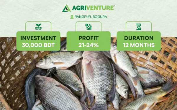 Combined Fish Farming