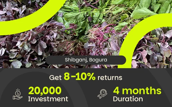 Leafy Vegetable Trading