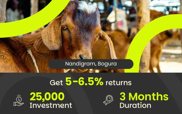 Qurbani Goat Trading