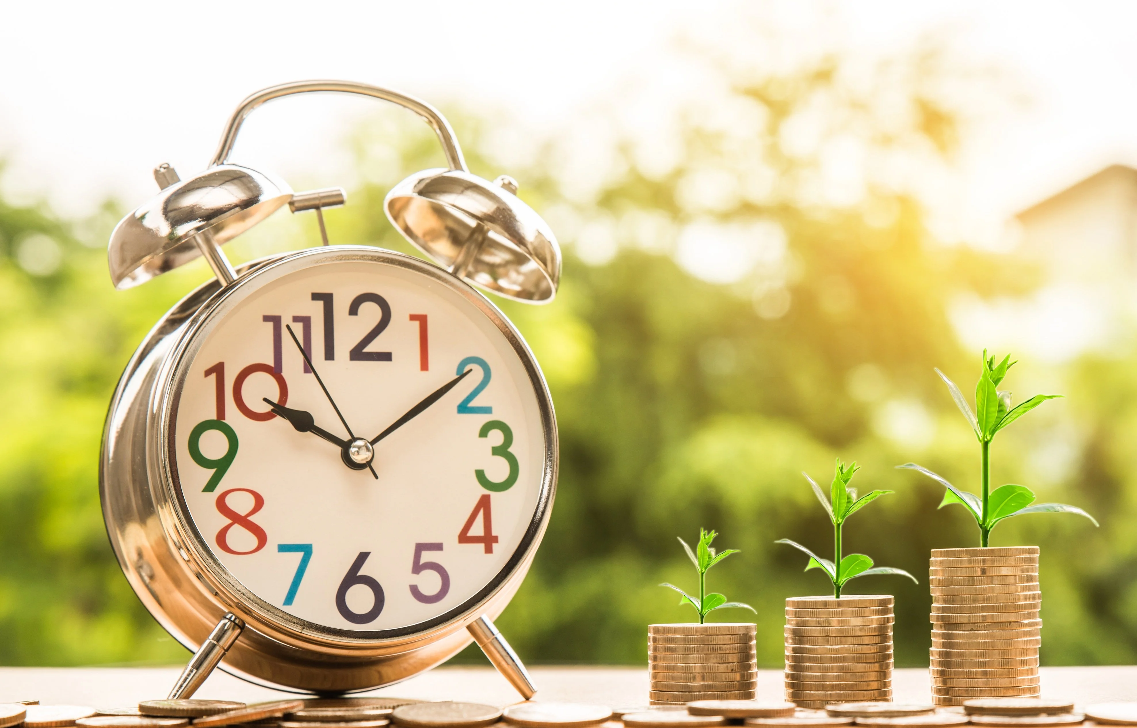 Best Investment Format for Clients 2026