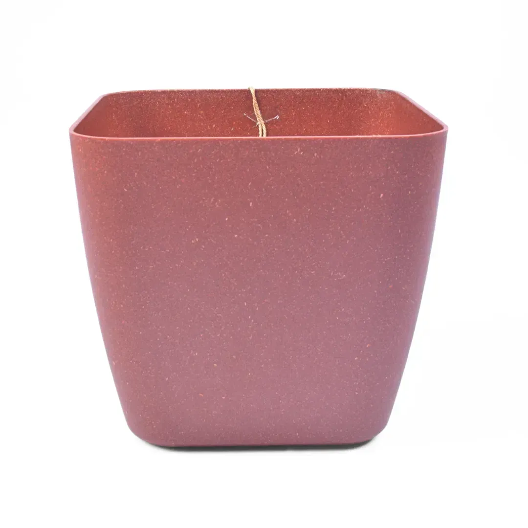 Siena Eco (Set of 2)
