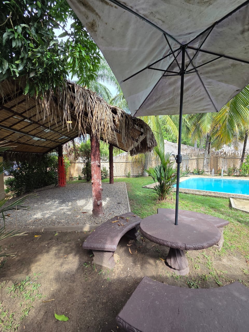 Dónde comer en Melgar: lechona, tamal y plaza de mercado - Lotus Beach Houses Tolú
