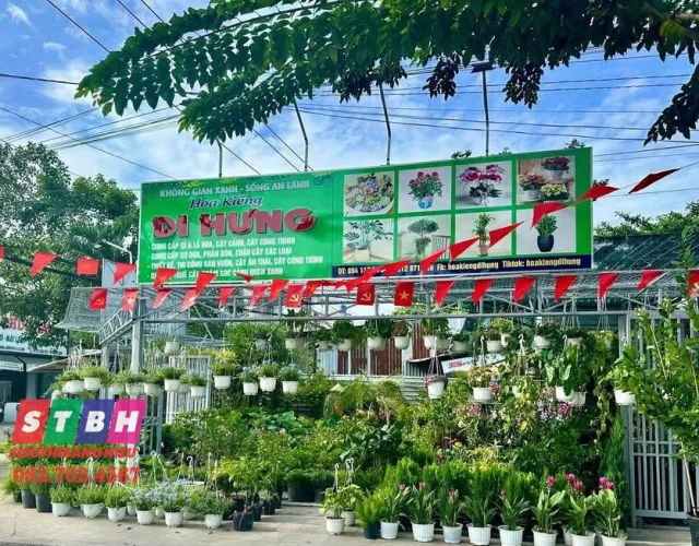 Bảng Hiệu Cây Cảnh hiện đại phù hợp nhiều phong cách