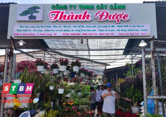 Bảng Hiệu Cây Cảnh đẹp nhanh chóng