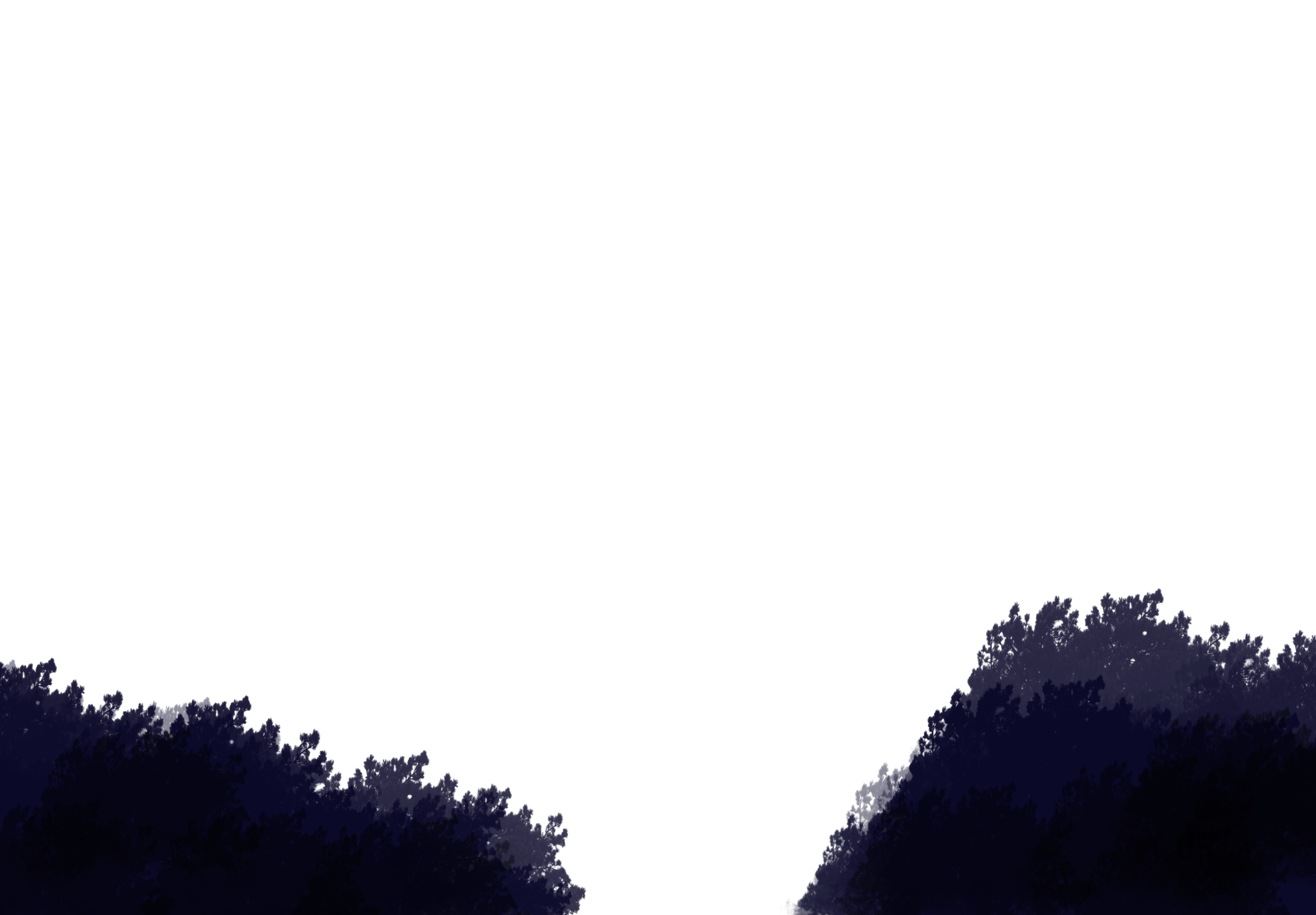 Tree Tops