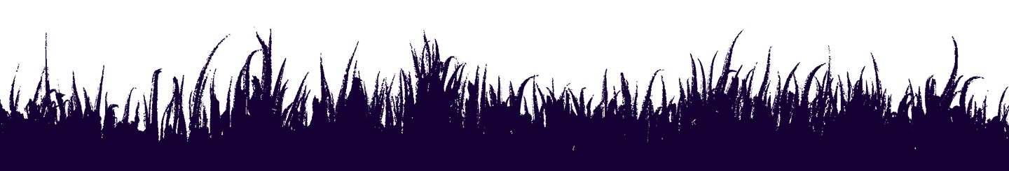 Grass