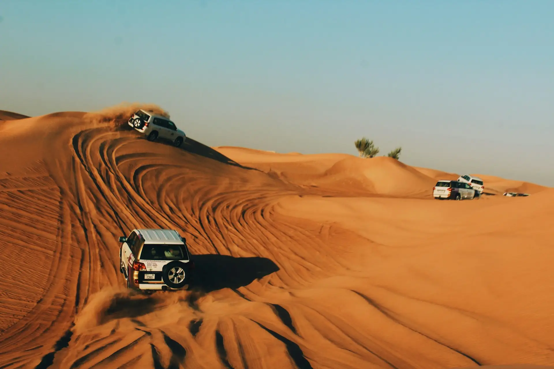 Dubai Highlights & Desert Safari