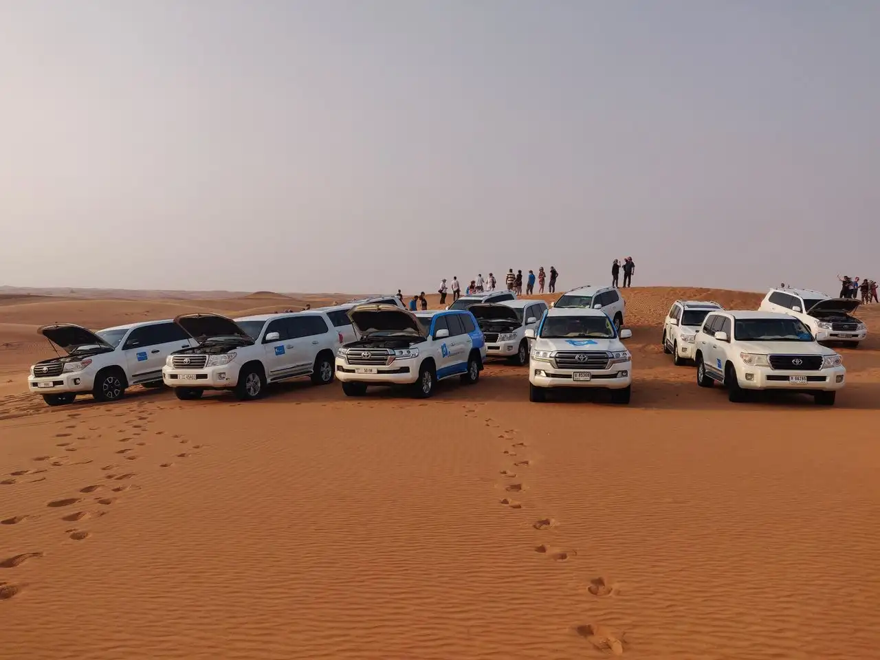 Desert Safari