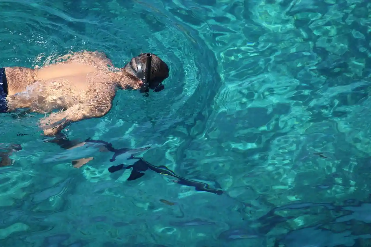 Snorkeling