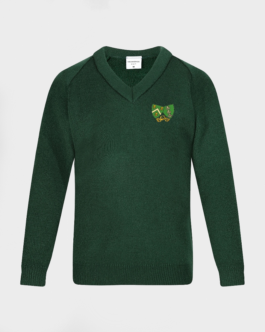 Unisex Green V-Neck School Pullover