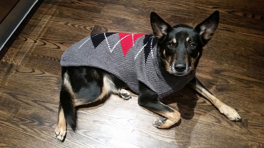 Artisanal Grey Argyle Wool Dog Sweater