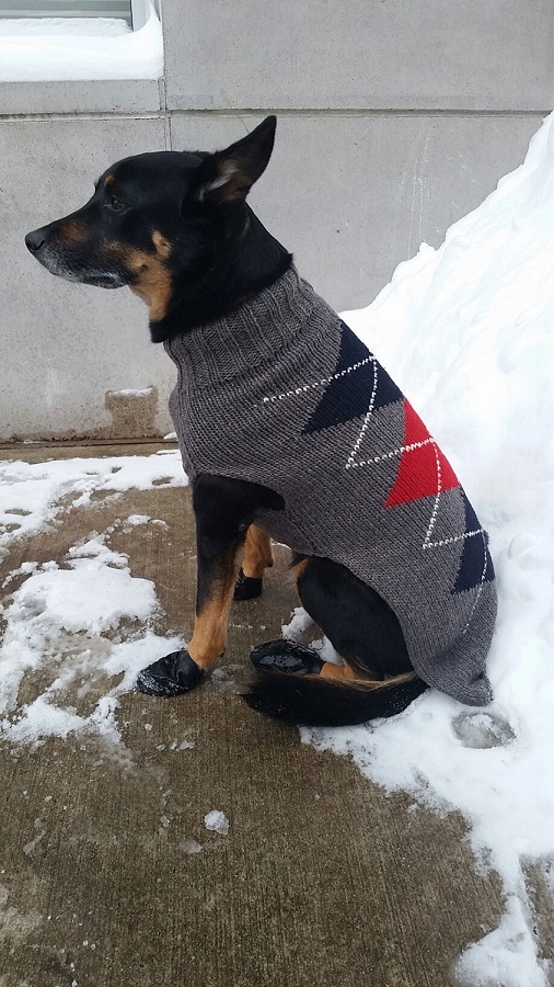 Artisanal Grey Argyle Wool Dog Sweater