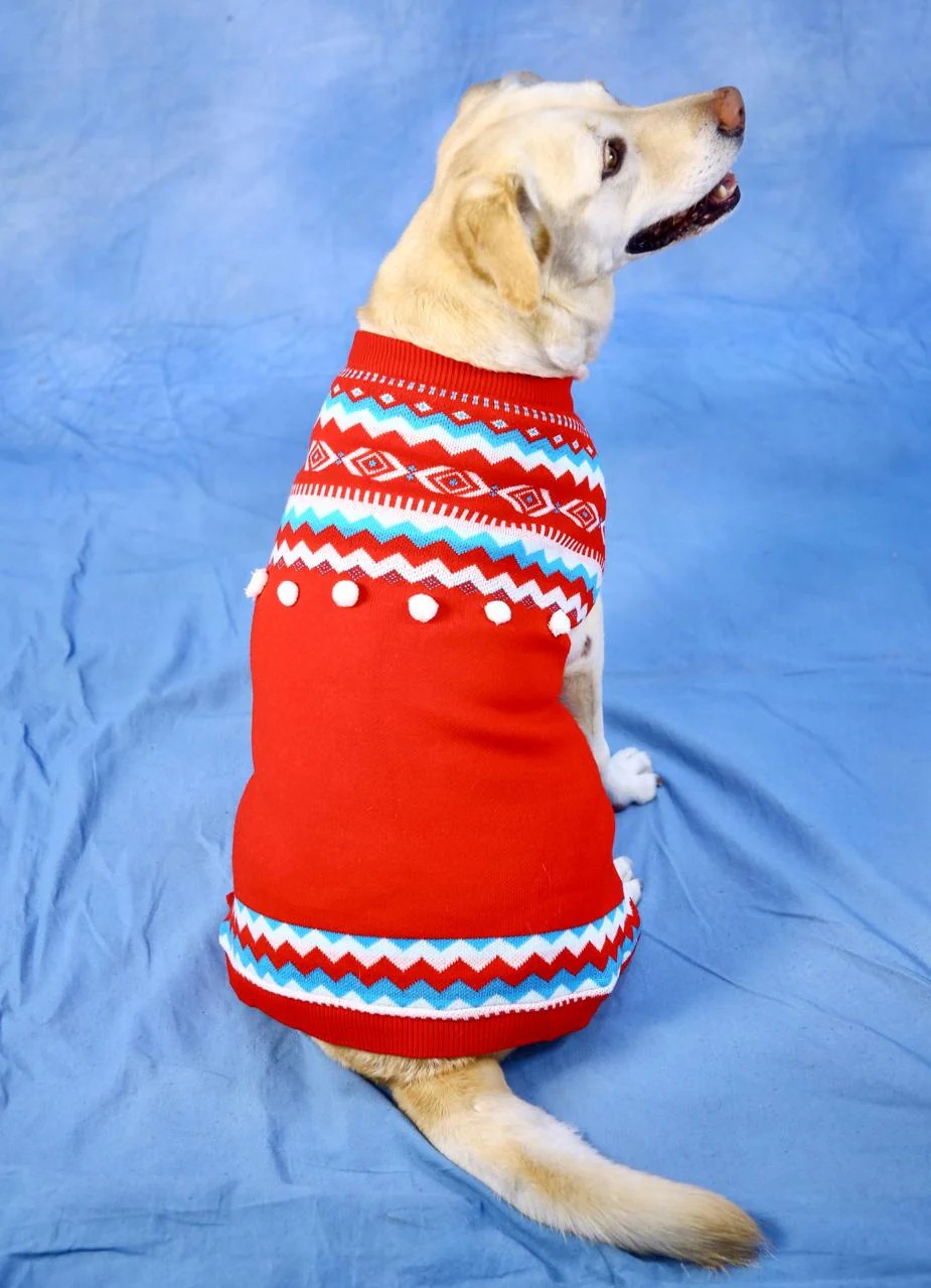 Crimson Aztec Geometric Pet Sweater