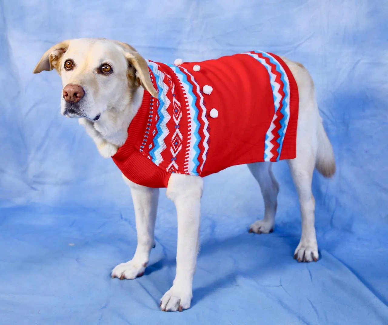 Crimson Aztec Geometric Pet Sweater