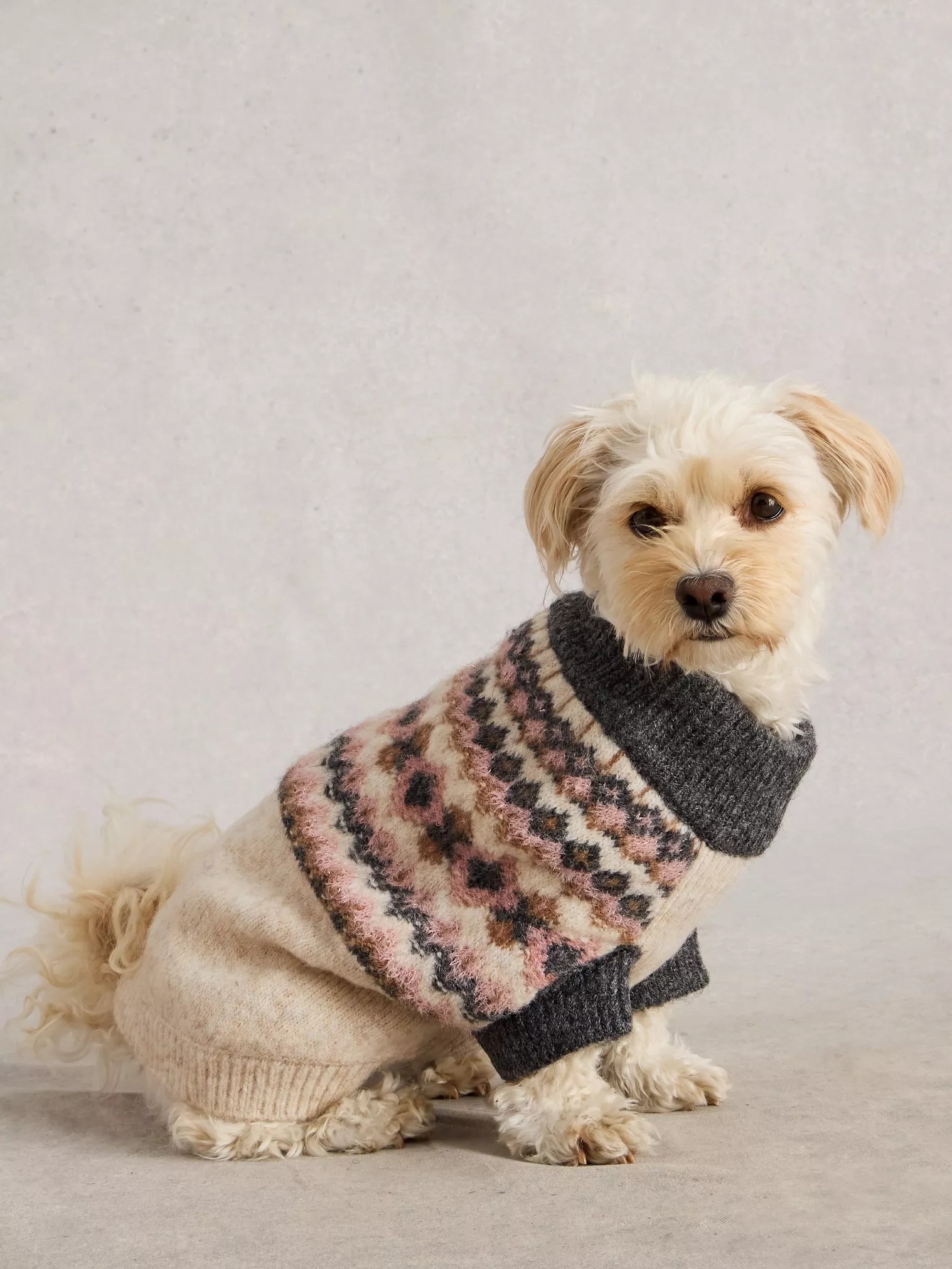 Festive Metallic Fairisle Dog Jumper