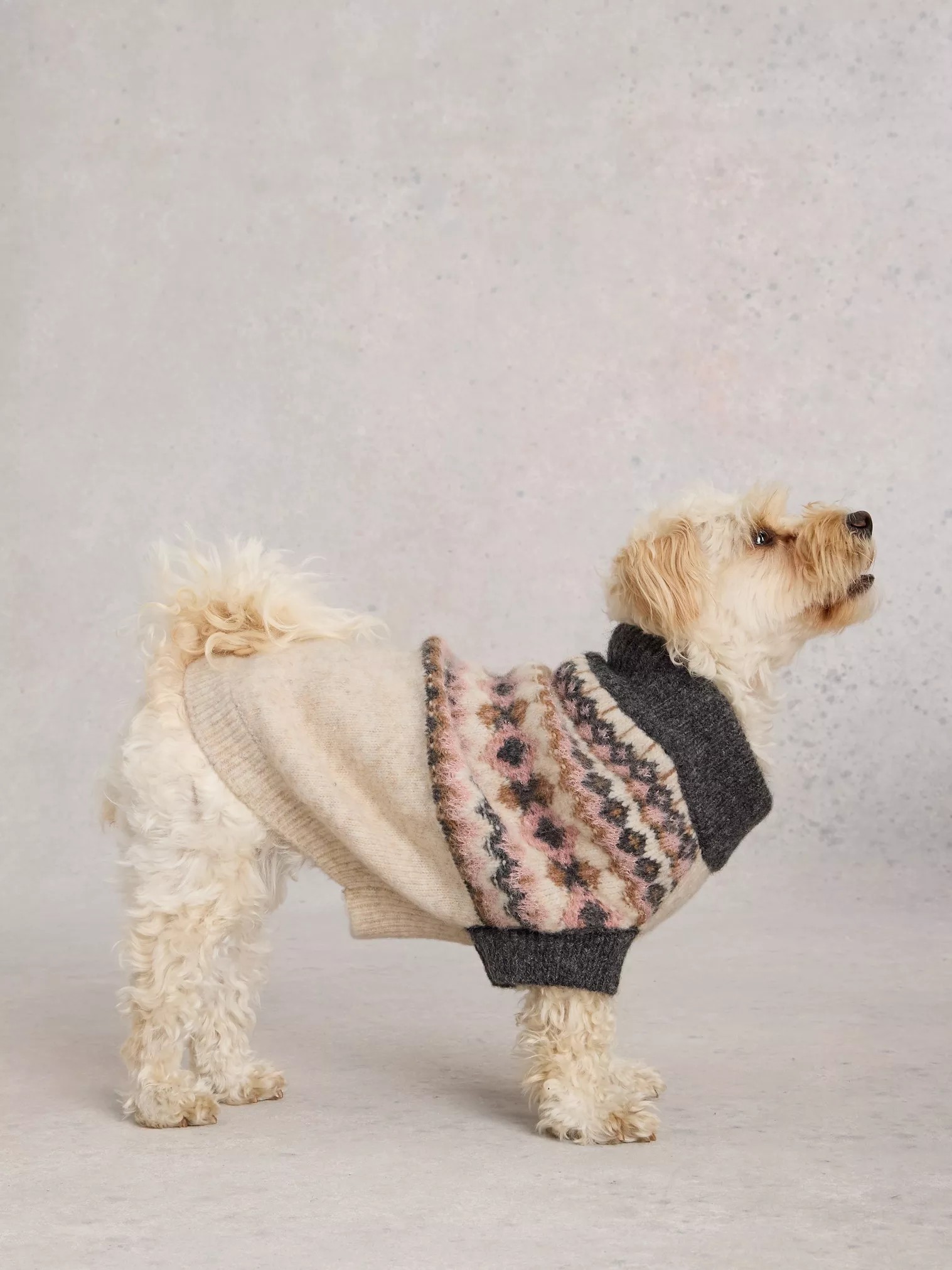 Festive Metallic Fairisle Dog Jumper