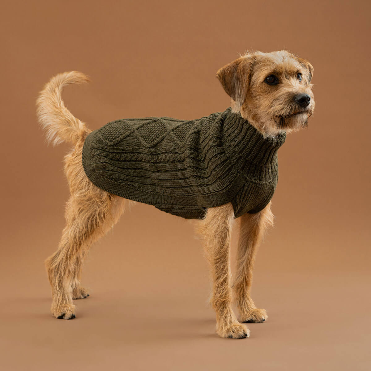 Forest Green Aran Alpaca Dog Sweater