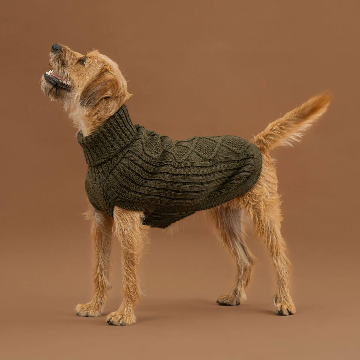 Forest Green Aran Alpaca Dog Sweater