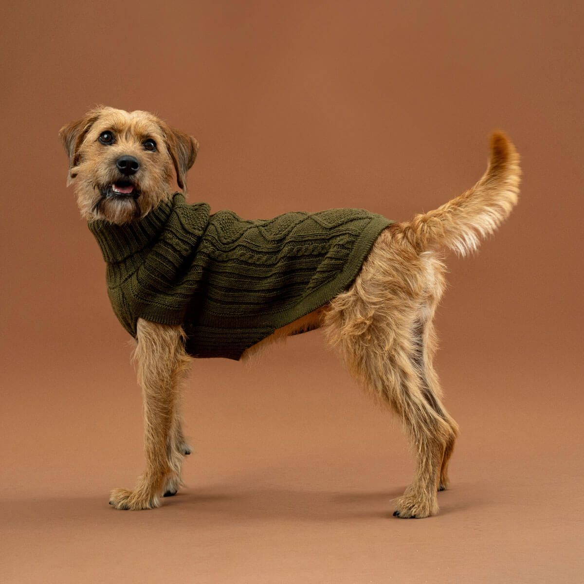 Forest Green Aran Alpaca Dog Sweater