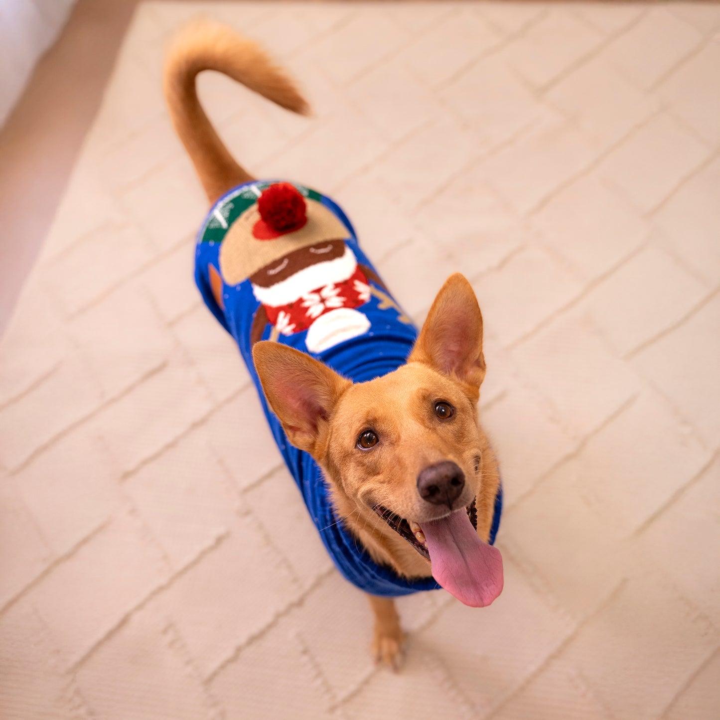 Reindeer Cheer 3D-Pompom Dog Sweater